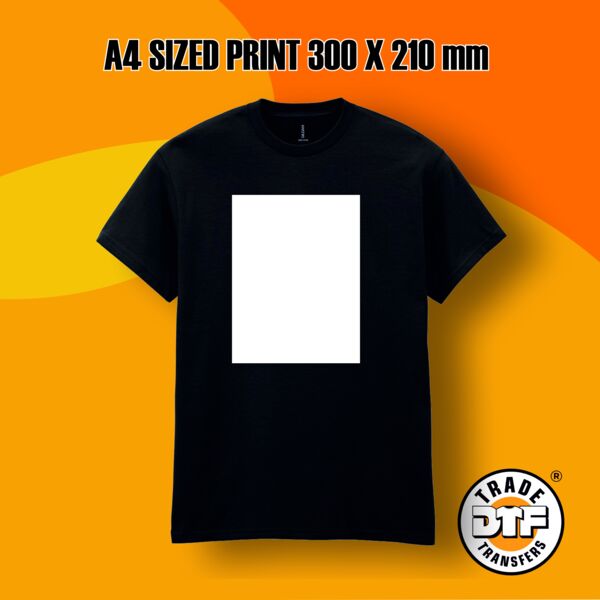 A4 SIZED PRINT 300 X 210 mm Thumbnail